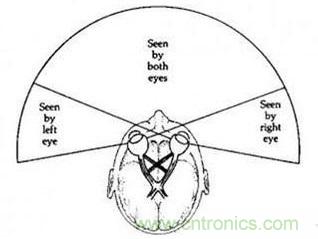 雙目重疊技術(shù)在VR中有什么作用？