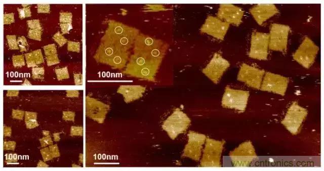 中美科學家聯(lián)手，用DNA納米機器人殺死癌細胞