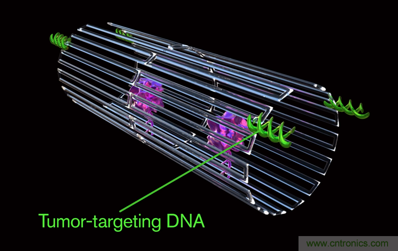 中美科學家聯(lián)手，用DNA納米機器人殺死癌細胞