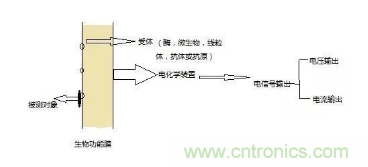 仿生傳感器的定義、原理、分類及應(yīng)用