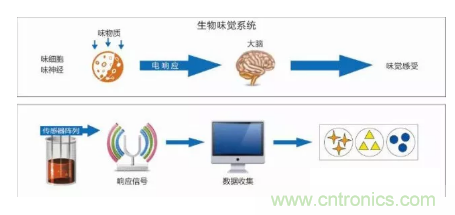 仿生傳感器的定義、原理、分類及應(yīng)用