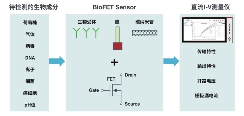 FET 生物傳感器的直流I-V 特性研究